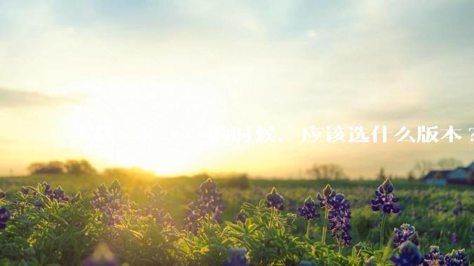 下载 4k ***的时候，应该选什么版本?