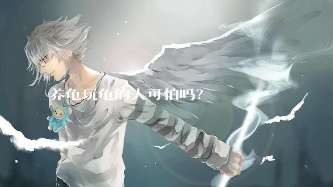 养龟玩龟的人可怕吗？