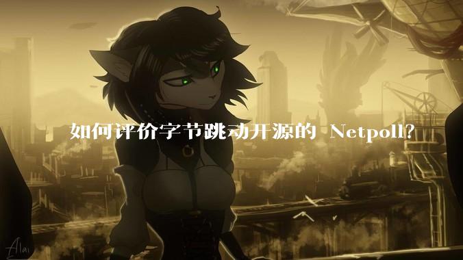 如何评价字节跳动开源的 Netpoll？