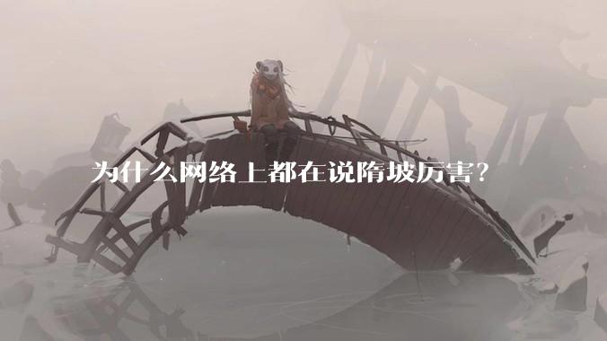 为什么网络上都在说隋坡厉害？