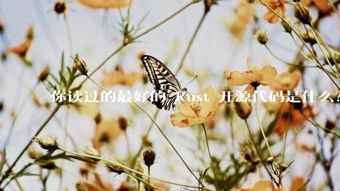 你读过的最好的 Rust 开源代码是什么？