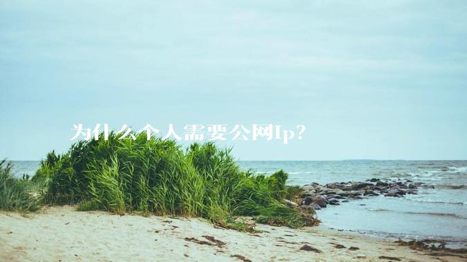 为什么个人需要公网ip？